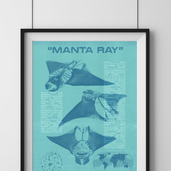 Manta Ray: Digital Print