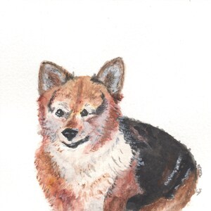May include: Watercolor painting of a corgi dog in a seated position. The dog has a brown and white coat with black markings on its back. The artwork is set against a white background, highlighting the dog's features.