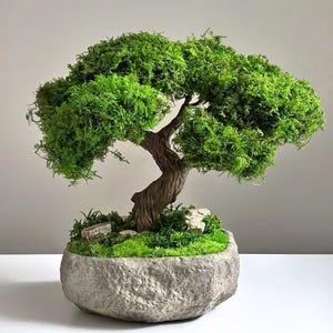 May include: A miniature bonsai tree with bright green foliage and a textured, brown trunk. The tree is planted in a grey, stone-like pot, with small rocks and green moss at the base. The bonsai is a decorative item.