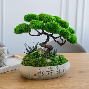 Op de afbeelding: Een decoratieve bonsaiboomsculptuur met felgroen geconserveerd mosgebladerte op een donkere, getextureerde, kronkelende stam. De basis is een ondiepe, ovale grijze keramische pot met uitgesneden Chinese karakters en een rood zegel.