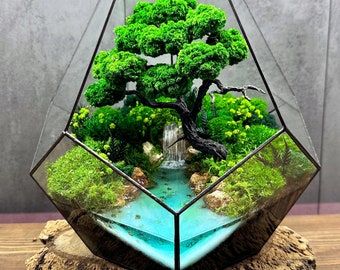 Terrario oceanico con muschio, terrario a cascata, bonsai conservati, muschio da terrario, piante conservate, arredamento vegetale unico, terrario geometrico