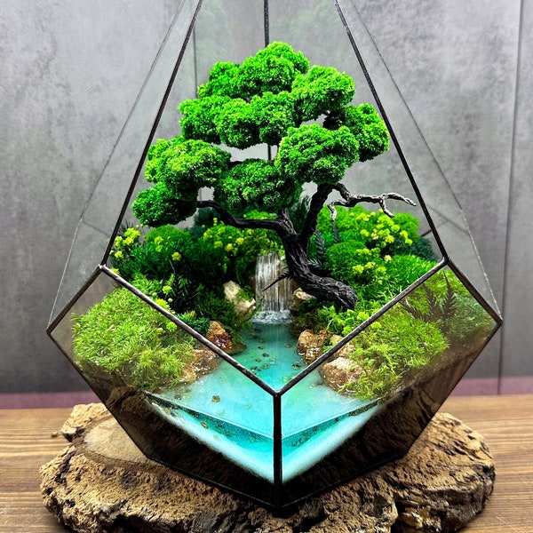 Ozeanterrarium mit Moos, Wasserfallterrarium, konservierte Bonsai, Terrarienmoos, konservierte Pflanzen, einzigartiges Pflanzendekor, geometrisches Terrarium