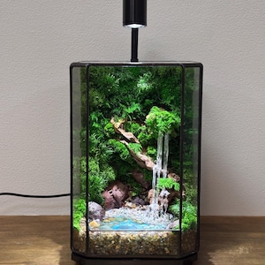 Puede incluir: Un terrario de cristal hexagonal vertical que presenta un paisaje en miniatura con musgo verde vibrante, rocas oscuras y un pequeño estanque de agua azul. Una cascada simulada fluye desde un trozo de madera flotante. Una luz LED negra está montada en la parte superior.