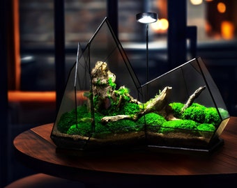 Modern home decor: Terrarium with Preserved Moss Art and Lamp, Housewarming Gifts, Crystal terrarium cave, Stabilized plants, Easy care