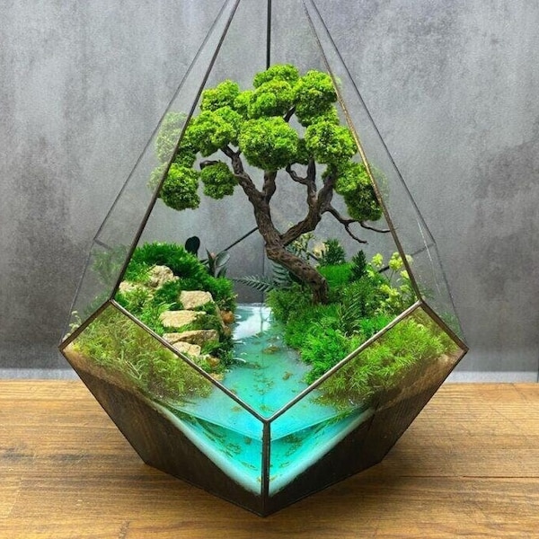 Plant accessories, Crystal pyramid with preserved moss Bonsai by the river, Desk Planter, Geometric terrarium moss art, Unique home decor