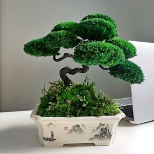 Preserved Moss Bonsai Tree, Handmade Faux Indoor Plant 9.8×7.9×5.9 in, Ceramic Pot