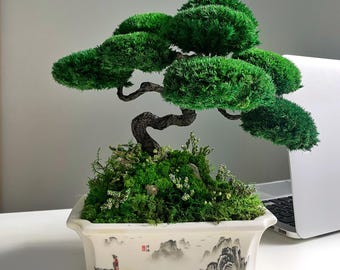 Handgemachter konservierter Moos Bonsai-Baum, Zen-Schreibtisch-Dekor, Japandi-Wohnkultur, No Care Greenery Geschenk, einzigartiges Bürodekor