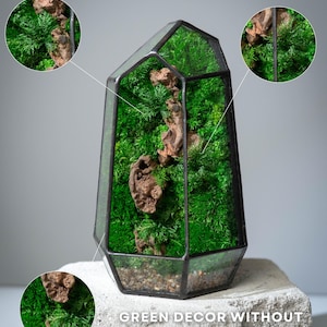 Mosterrarium, bewaarde moskunst, geometrisch terrariumdecor, bureaubladmossarium, terrariumdecor, uniek cadeau afbeelding 2