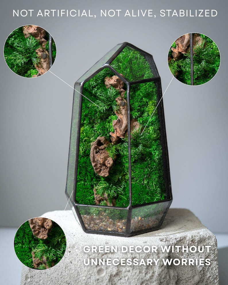 Mosterrarium, bewaarde moskunst, geometrisch terrariumdecor, bureaubladmossarium, terrariumdecor, uniek cadeau afbeelding 2
