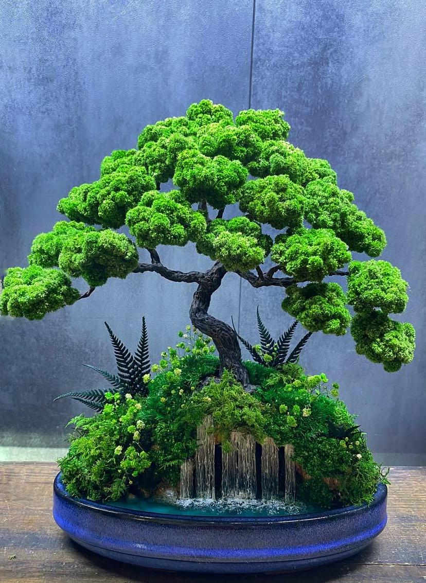 Japandi Bonsai Decor | Preserved Moss Tree in Ceramic Pot