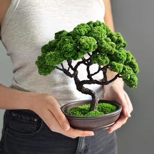 Handmade Low-Maintenance Bonsai Tree - Elegant Japanese Table Home Décor,