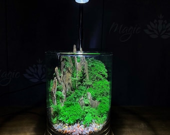 現在、この商品の在庫はありません - Etsy