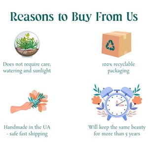 May include: An infographic with the text "Reasons to Buy From Us" and illustrations. Includes a terrarium, a box with a recycling symbol, a hand holding flowers, and a blue clock. Text highlights product features.
