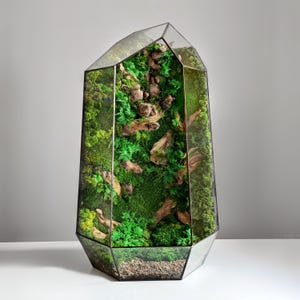 Mosterrarium, bewaarde moskunst, geometrisch terrariumdecor, bureaubladmossarium, terrariumdecor, uniek cadeau afbeelding 16