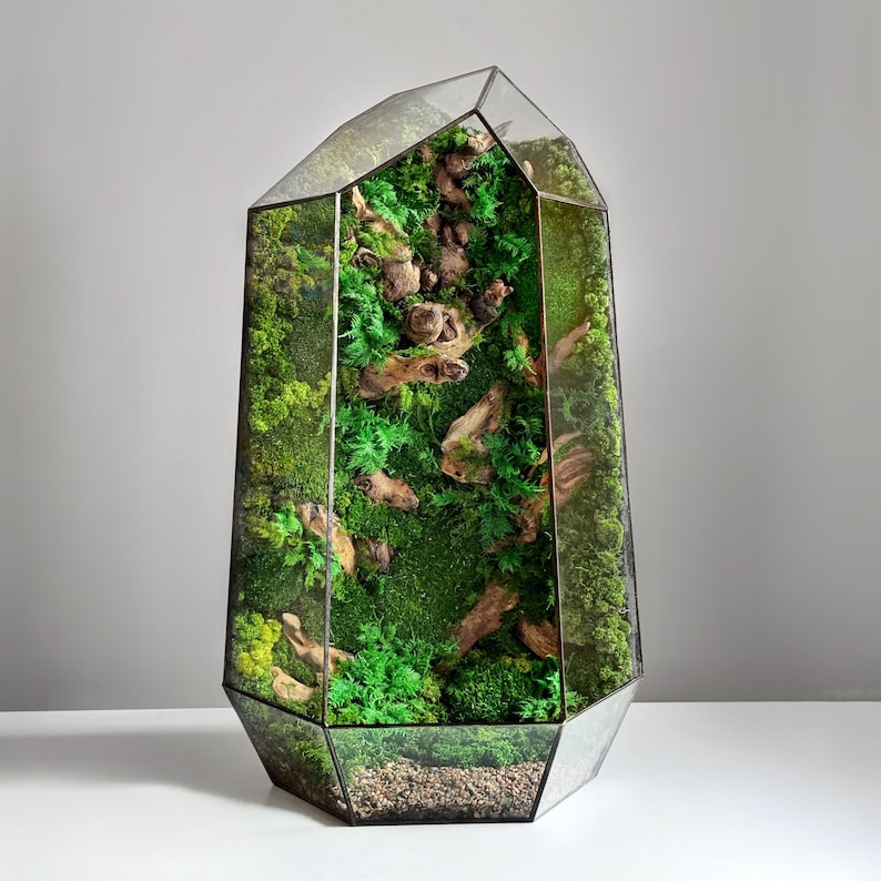 Mosterrarium, bewaarde moskunst, geometrisch terrariumdecor, bureaubladmossarium, terrariumdecor, uniek cadeau afbeelding 16