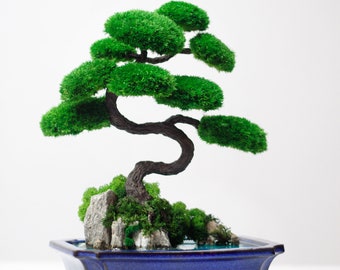 Shelf decor: Bonsai tree, Preserved moss, Lucky Tree, Best christmas gift or corporate gifts, Desk decoration with epoxy moss plants
