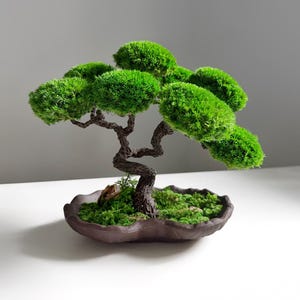 May include: A miniature bonsai tree with vibrant green foliage and a twisted, brown trunk. The tree sits in a brown, oval-shaped pot filled with green moss. The bonsai is a decorative plant, perfect for home decor.