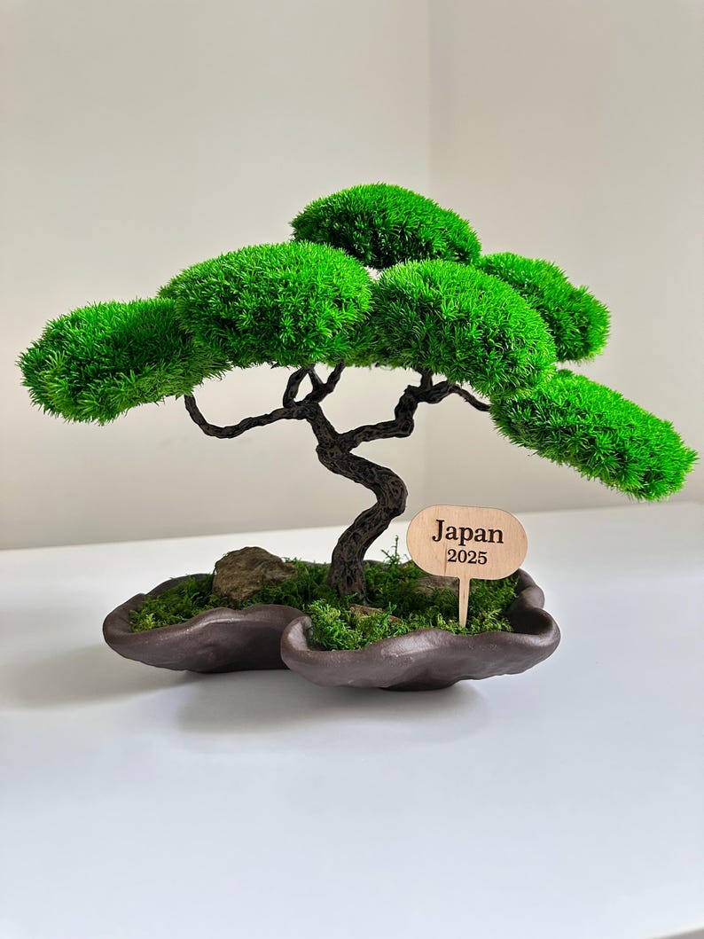 May include: A miniature bonsai tree with vibrant green foliage and a dark brown trunk. The tree sits in a brown, organic-shaped pot with a small wooden sign that reads "Japan 2025". The bonsai is a decorative item.