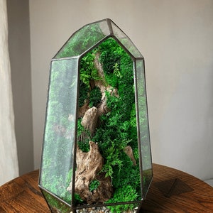 Op de afbeelding: Een glazen terrarium in de vorm van een kristal met een houten tak en groen mos erin. Het terrarium staat op een houten tafel.