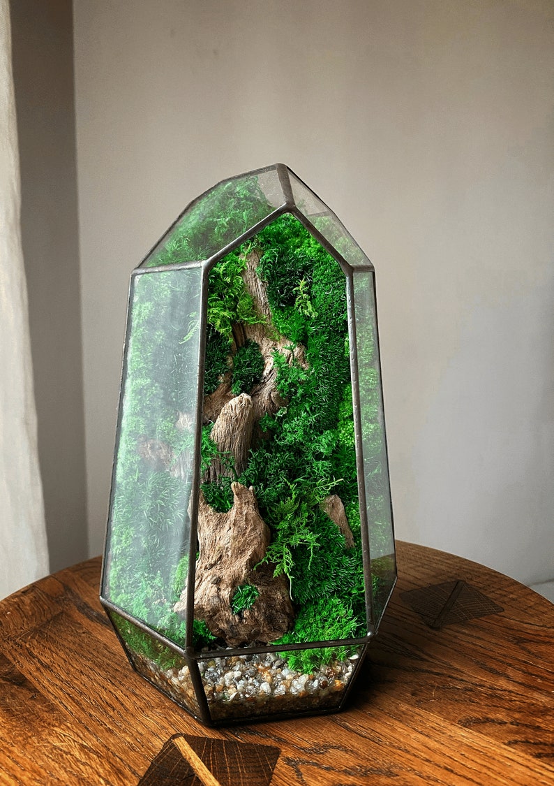 Op de afbeelding: Een glazen terrarium in de vorm van een kristal met een houten tak en groen mos erin. Het terrarium staat op een houten tafel.