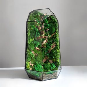 Mosterrarium, bewaarde moskunst, geometrisch terrariumdecor, bureaubladmossarium, terrariumdecor, uniek cadeau afbeelding 17