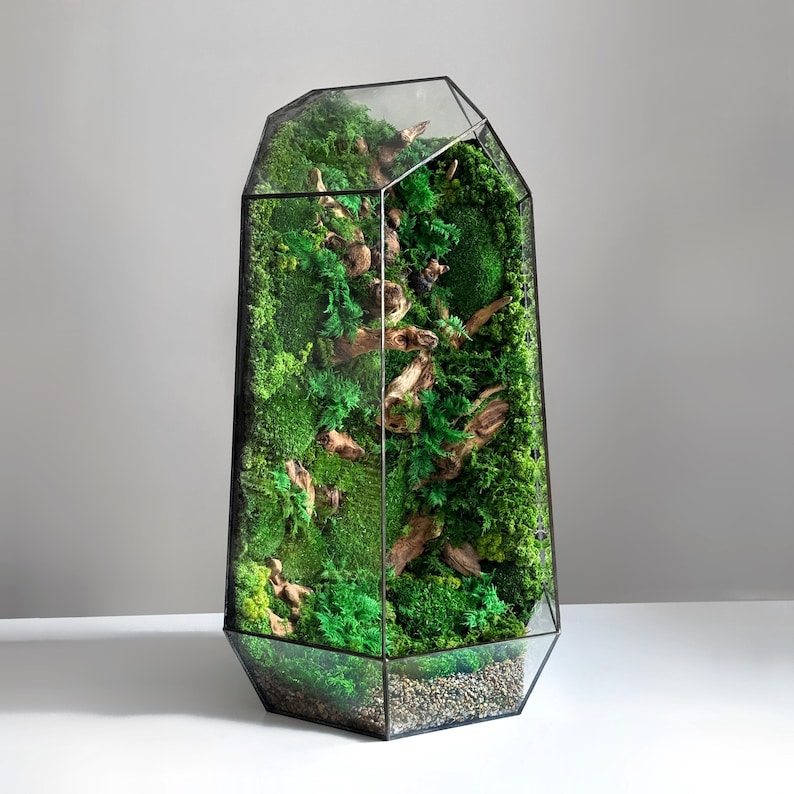 Mosterrarium, bewaarde moskunst, geometrisch terrariumdecor, bureaubladmossarium, terrariumdecor, uniek cadeau afbeelding 17