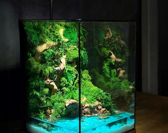 Terrarium van geconserveerd mos met harsvijver, geometrische glazen moskunst, optionele ledlamp, onderhoudsvrije bosdecoratie, cadeau voor natuurliefhebbers