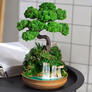 Puede incluir: Un árbol en miniatura cubierto de musgo con una cascada que cae en un pequeño lago, todo contenido en un cuenco de madera. La escena está colocada sobre una mesa negra.