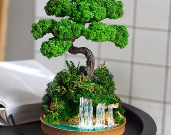 Indoor bonsai with Preserved moss, Handmade bonsai tree, Waterfall desk, Lucky Tree, Mini aquarium bonsai, Corporate gifts, Modern home