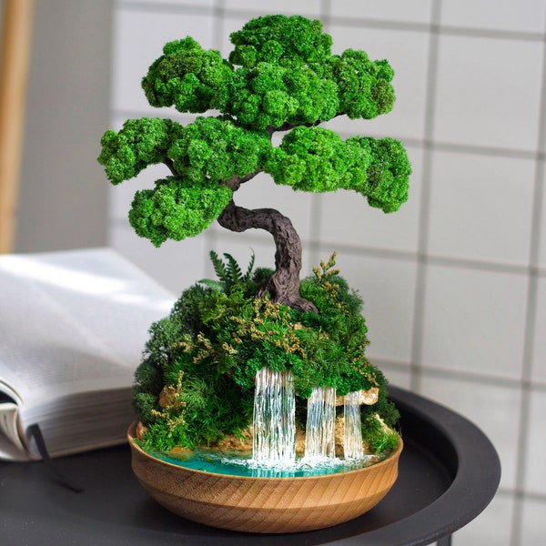 Indoor bonsai with Preserved moss, Handmade bonsai tree, Waterfall desk, Lucky Tree, Mini aquarium bonsai, Corporate gifts, Modern home