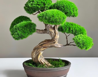 Preserved Moss Bonsai Tree | Handcrafted Zen Decor in Ceramic Pot | No-Care Japandi Gift
