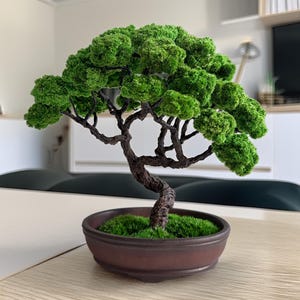 Preserved Moss Bonsai Tree, 25×23 cm, Ceramic Pot