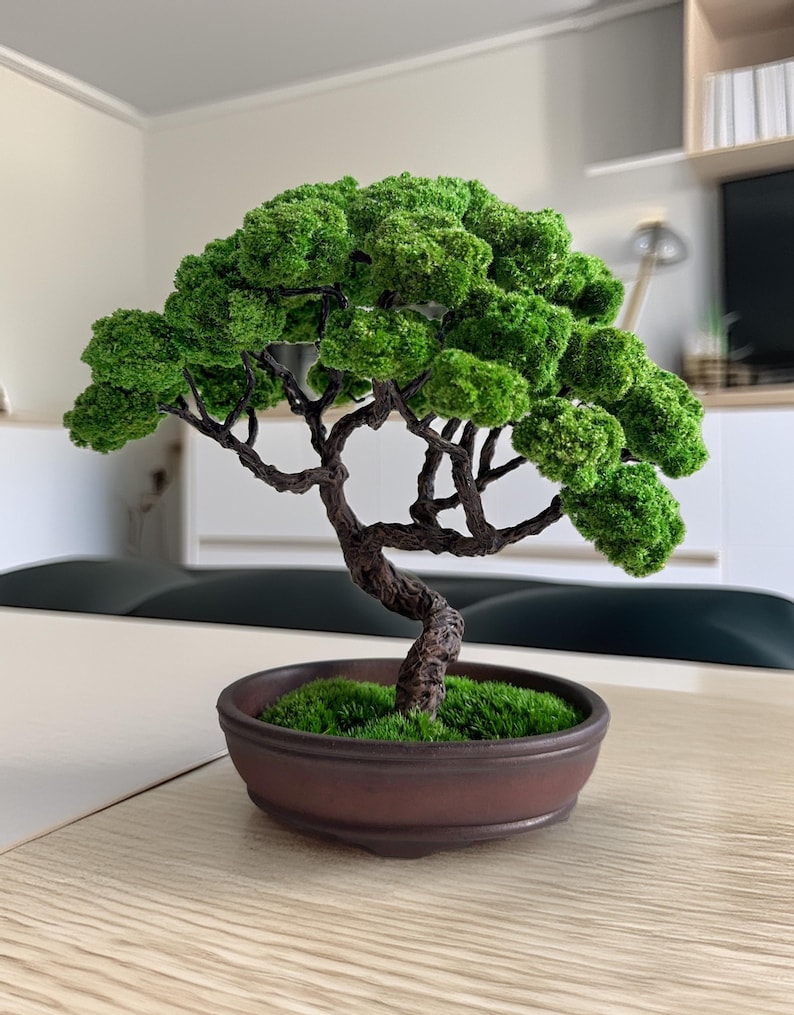 Preserved Moss Bonsai Tree, Best Gift