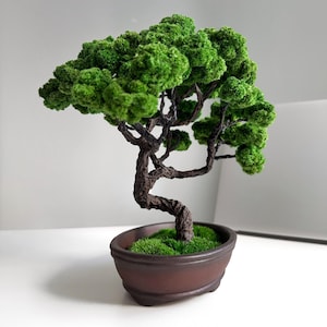 Perfect Bonsai Tree - Elegant Japanese Table Home Décor,