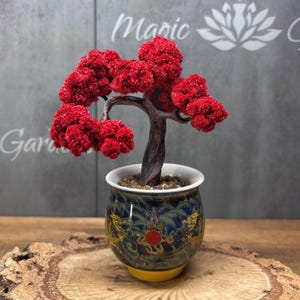 Puede incluir: Un bonsái decorativo con un tronco retorcido de color marrón oscuro y follaje texturizado de color rojo vibrante. El árbol está plantado en una maceta de cerámica redondeada con un fondo azul oscuro, ilustraciones de dragones dorados.