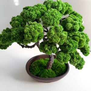 Bonsai Tree - Elegant Japanese Table Home Décor