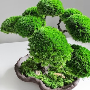 Handcrafted Bonsai Tree - Minimalist Artificial Home Art