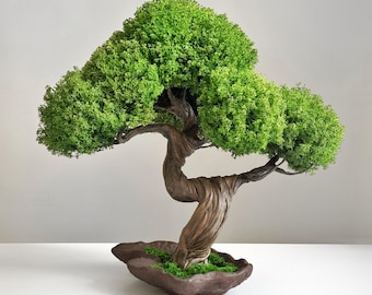 Preserved Moss Bonsai Tree in Ceramic Pot, Shelf Decor, No Care Indoor Faux Plant, Handmade Japanese Bonsai Gift