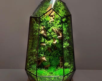 Illuminated Geometric Terrarium with Preserved Moss, Wooden Decor & LED Lamp Included | Modern Glass Tabletop Decor | No Water