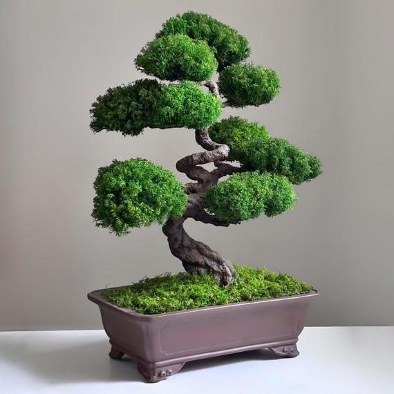 Moos Bonsai Baum Skulptur | Japanisches Dekor fr Wohnzimmer |  Einzigartiges Geschenk fr Sie & Ihn | Pflegeleichter Drahtkoffer - Etsy.de
