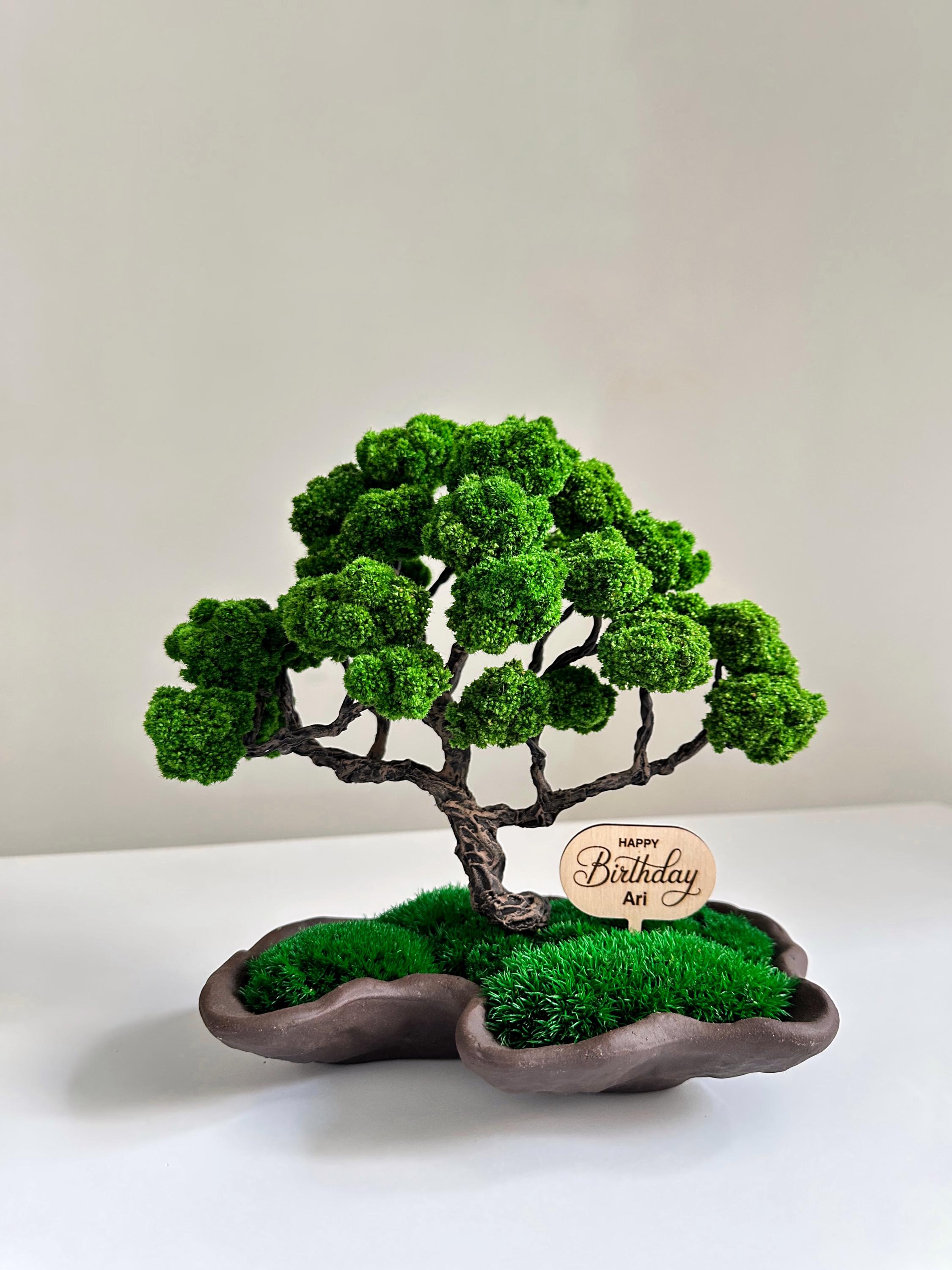 Handcrafted Preserved Moss Japanese Bonsai Tree, Low-maintenance Zen Decor  for Home or Office, Indoor Plants, Handmade Lucky Tree - Etsy