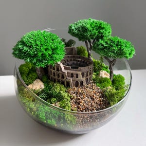 Puede incluir: Un terrario en cuenco de cristal que contiene una miniatura marrón del Coliseo, rodeada de árboles artificiales de color verde brillante, parches de musgo verde, pequeñas piedras claras y un camino de diminutos guijarros marrones.