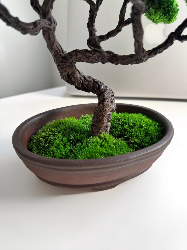Perfect Elegant Japanese  Low-Maintenance Bonsai Tree