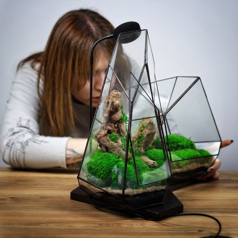 Modern Home Decor Terrarium With Preserved Moss Art and Lamp Etsy