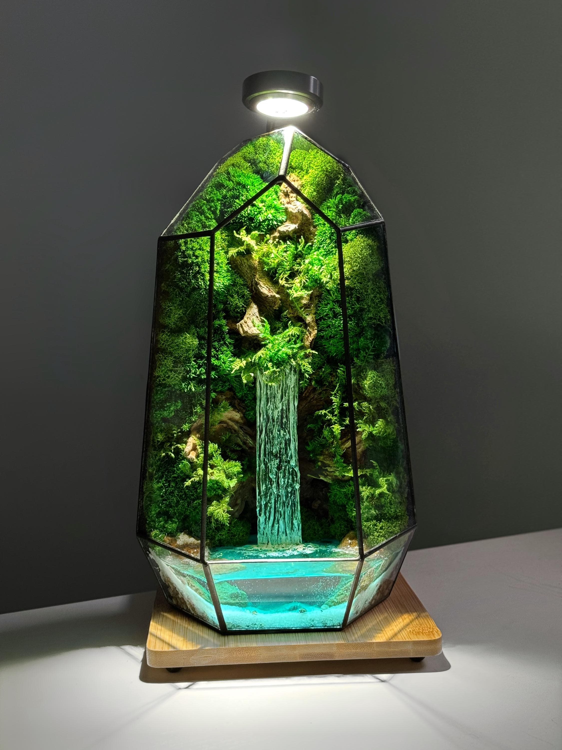 Illuminated Waterfall Geometric Terrarium With Preserved