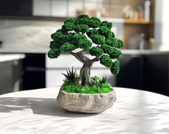 苔で覆われた盆栽、石のような陶器の鉢に入った日本の禅風装飾、水やり