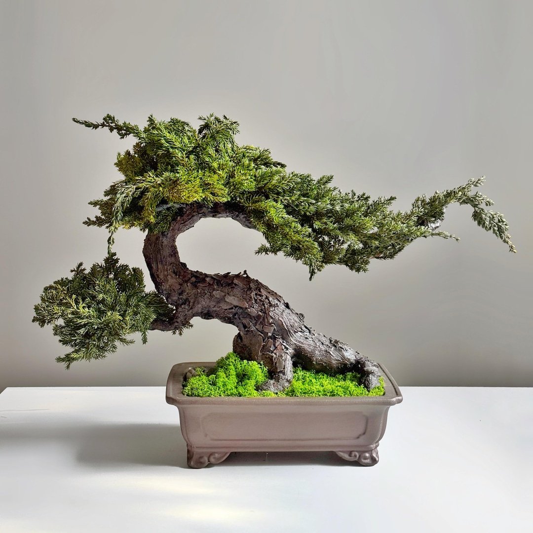 Preserved Moss Bonsai, 21.7×13.8 in Ceramic Planter, Japanese