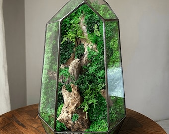 Moss Terrarium, Geometric Glass, Preserved Moss (10×18–27×50 cm)