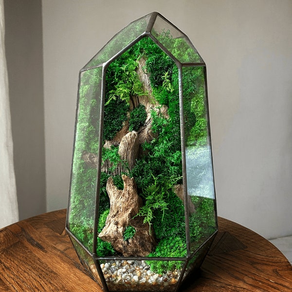 Musgo de terrario, musgo preservado, decoración geométrica de terrario, planta preservada, decoración de plantas de terrario, regalos de plantas únicos, regalo de amante de las plantas