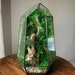 see more listings in the MOSSARIUM section